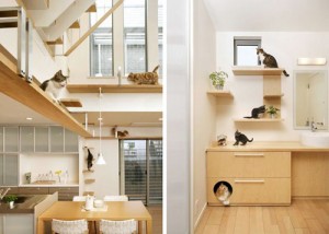 Casa para Gatos