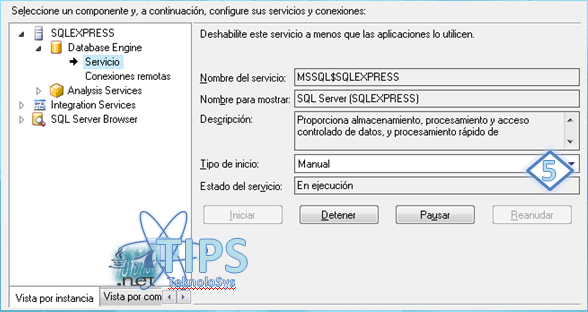 SQL Express Servicio