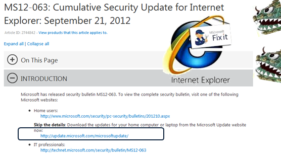 Falla seguridad  Internet Explorer